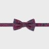 Accessoires IZAC | Cravates Bordeaux